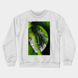 Dew Drop Crewneck Sweatshirt